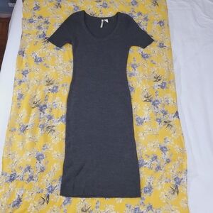 FALL/WINTER- RIPE- Long Knit T Shirt Dress- Grey- Medium- Like New
